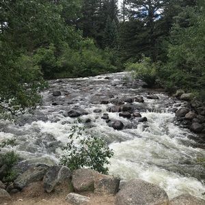 Meet your Posher, Martha